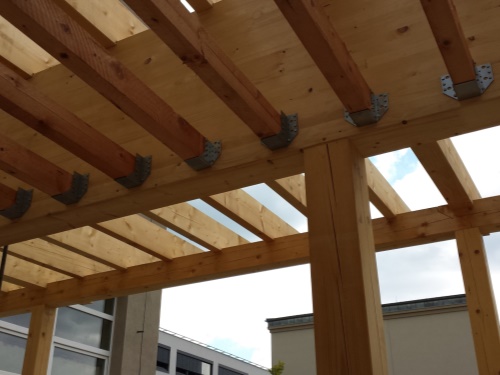 Pergola - Technická univerzita Liberec