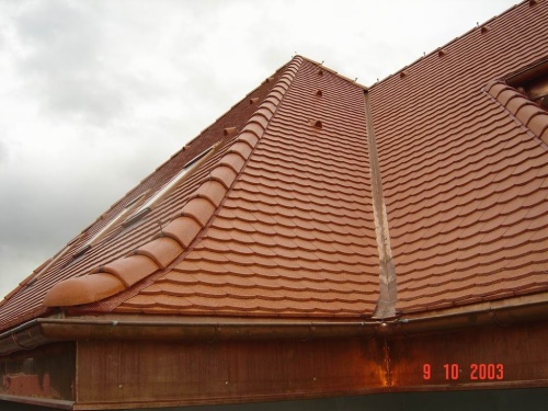 Střecha Botanická