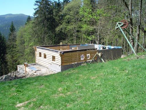 Roubenka - v lese
